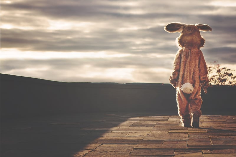Whimsical Sceneries
